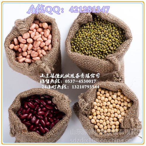 回歸石磨本味 從高效豆?jié){機(jī)到全能米漿機(jī)，解鎖豆制品加工新境界